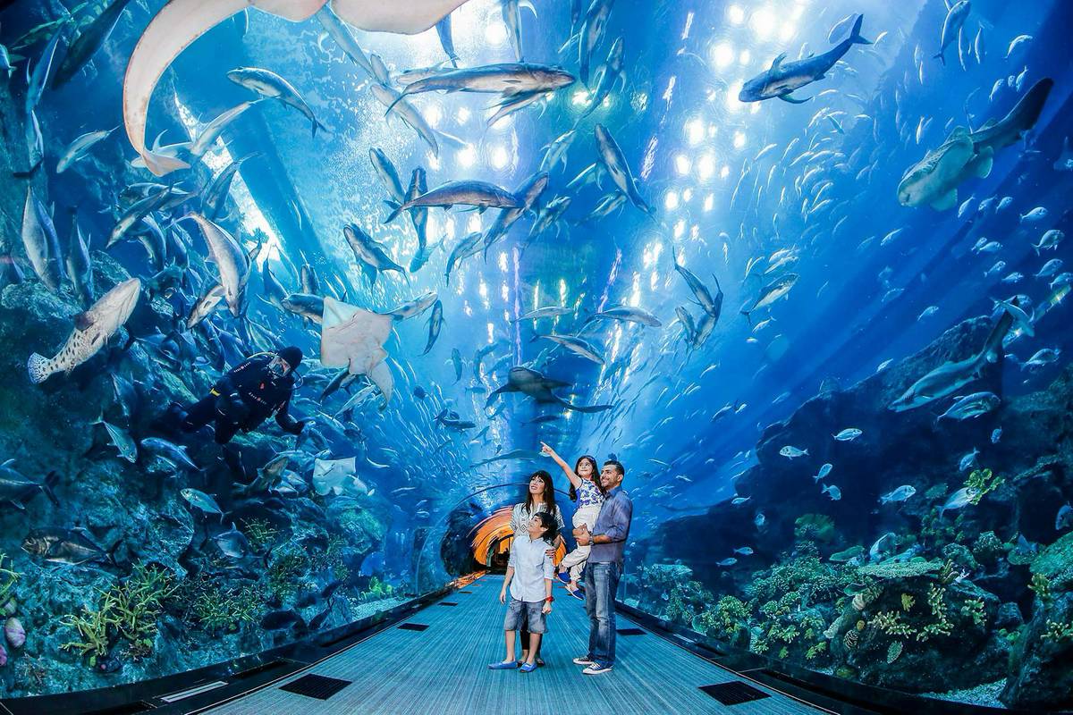 Dubai Aquarium and Underwater Zoo – Travelex Travels and Tours