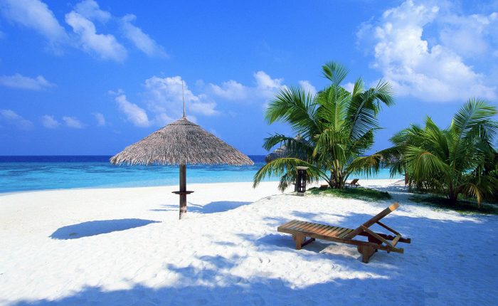 How to contact us Book Your Next Flight With Direct Flights. At Direct Flights, we offer the best flight deals online. We specialize in cheap flight deals from Australia to the most popular destinations around the world.