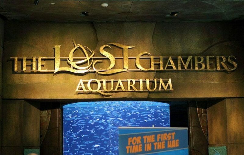 The Lost Chambers Aquarium