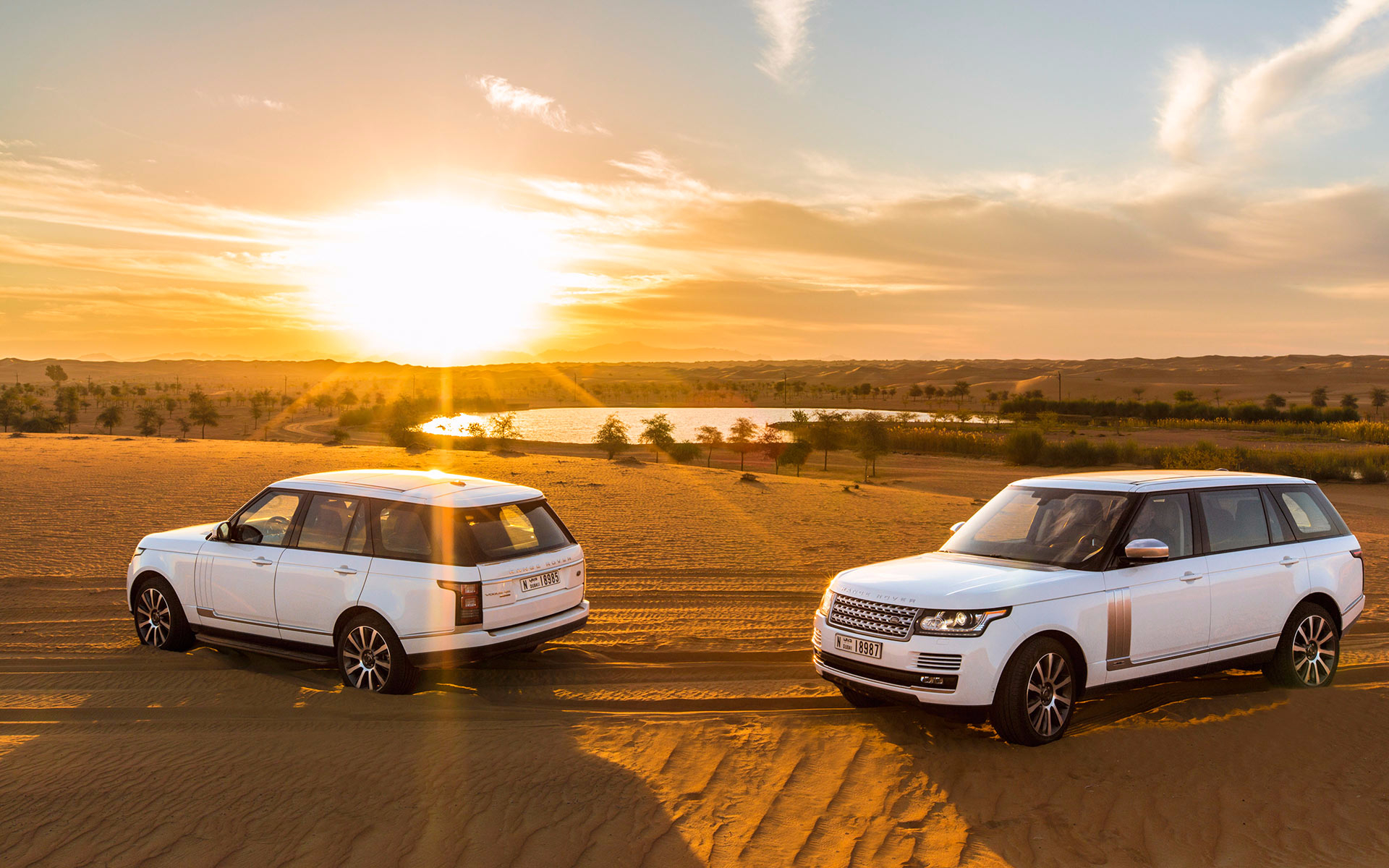 Evening Desert Safari Dubai