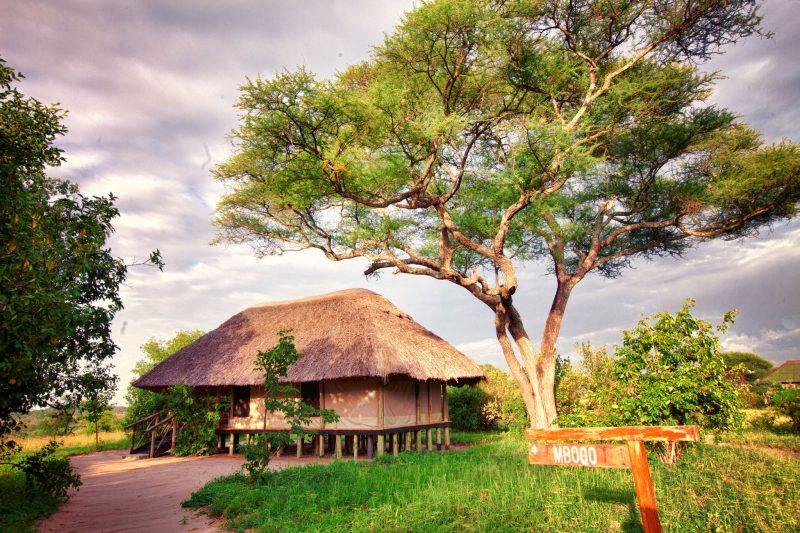 Tanzania tour package