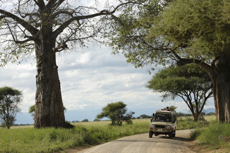 Tanzania tour package