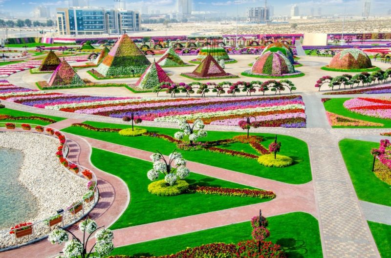 Miracle Garden Dubai