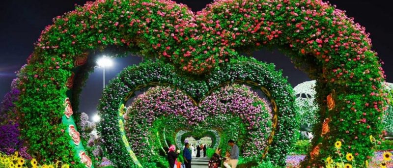 Miracle Garden