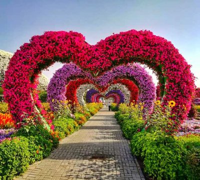 Miracle Garden