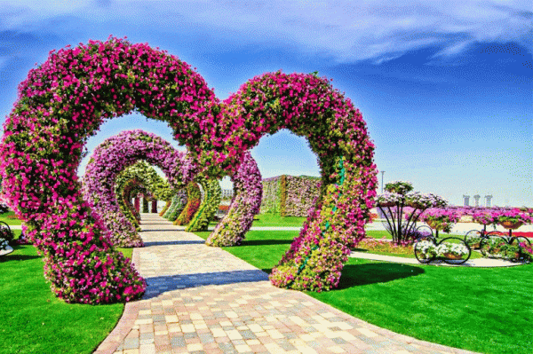 Miracle Garden Dubai