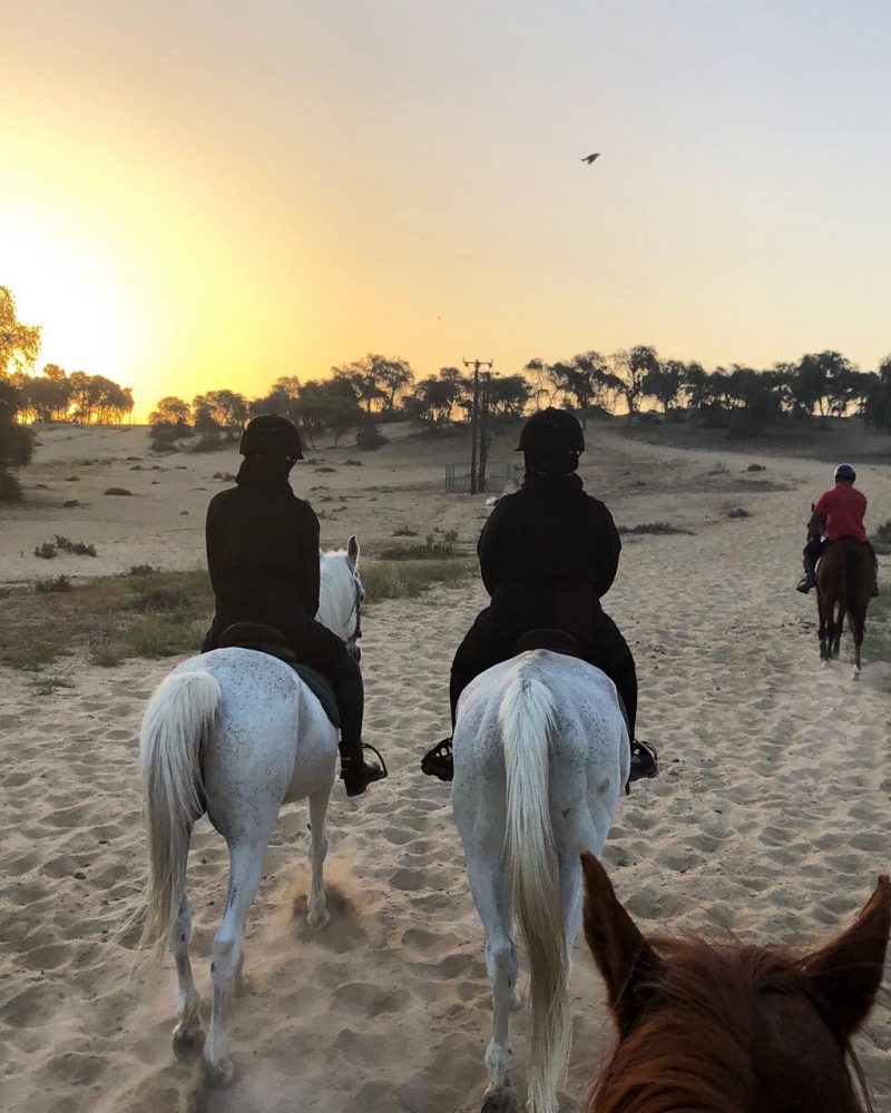 horse riding dubai