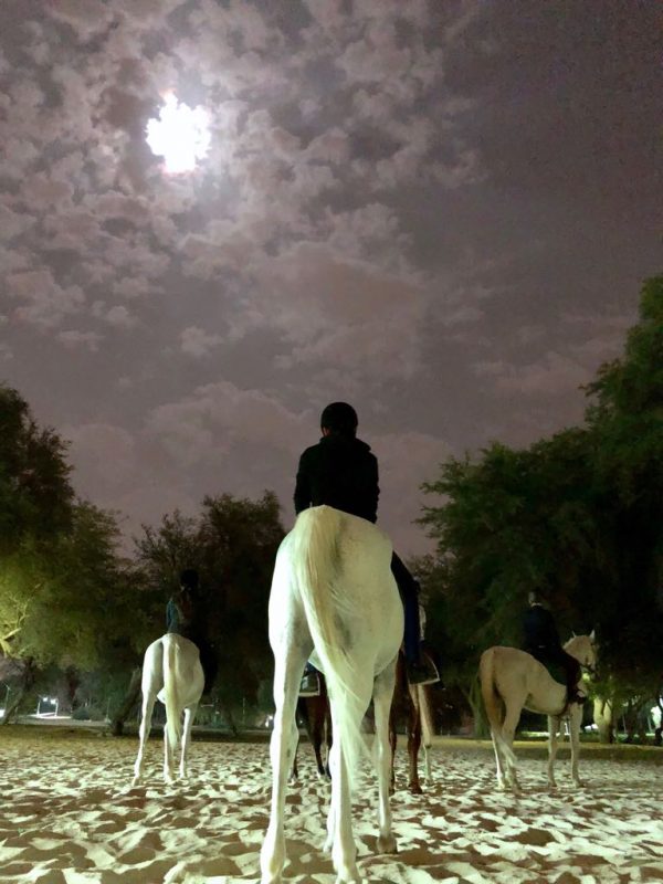 horse riding dubai