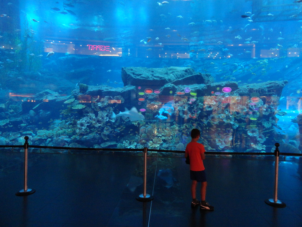 Book Dubai Aquarium Tickets Online