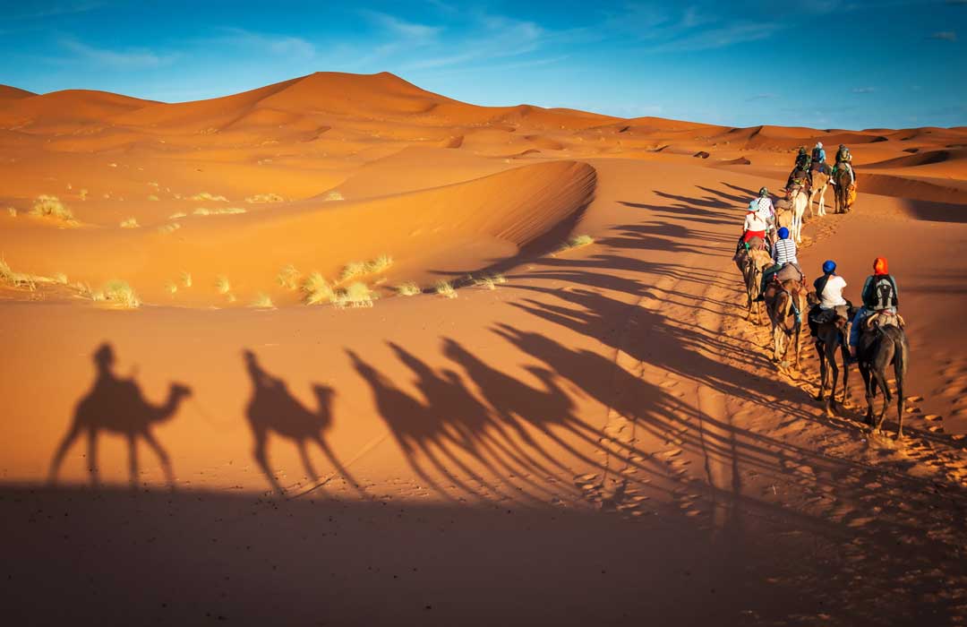 camel ride dubai