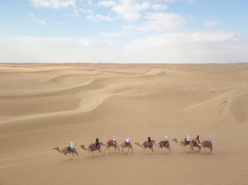 Camel Carvan in the Desert