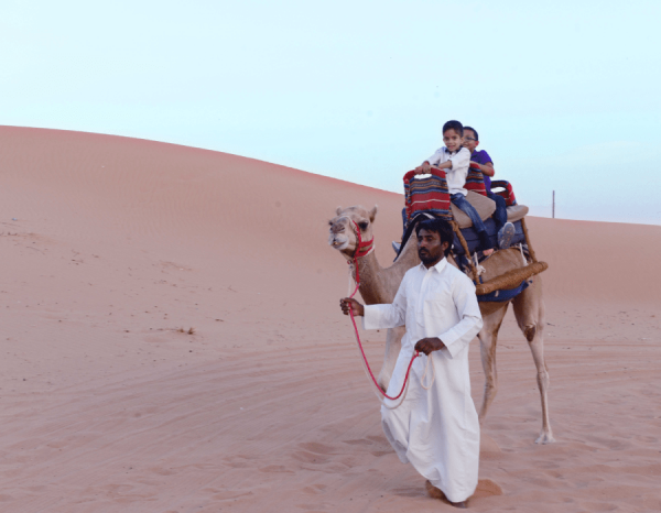 Camel Ride in RAK Desert