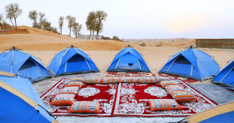 Igloo Camping Tents