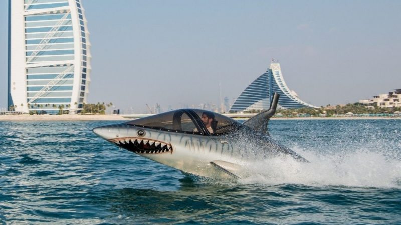 Seabreacher Dubai