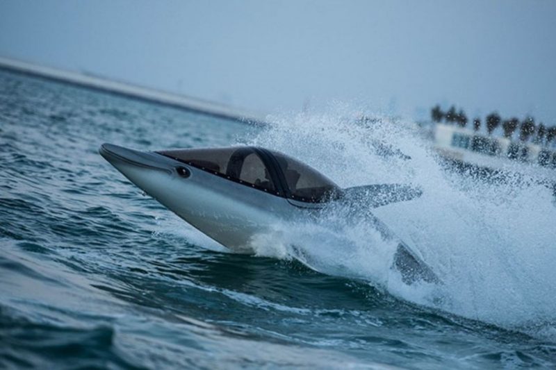 Seabreacher Water Activity