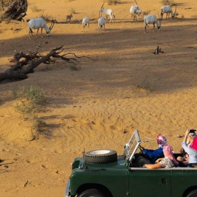 Heritage Desert Safari