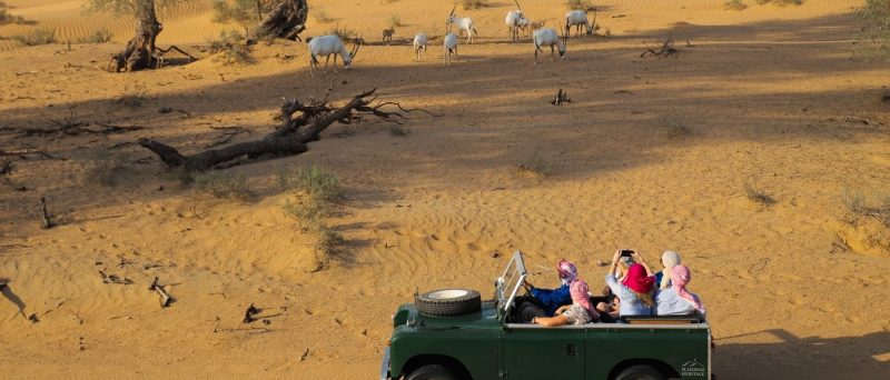 Heritage Desert Safari