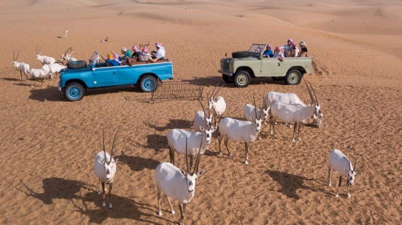 Heritage Wildlife Safari