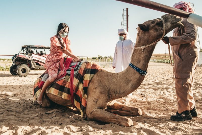 Camel Racing Dubai