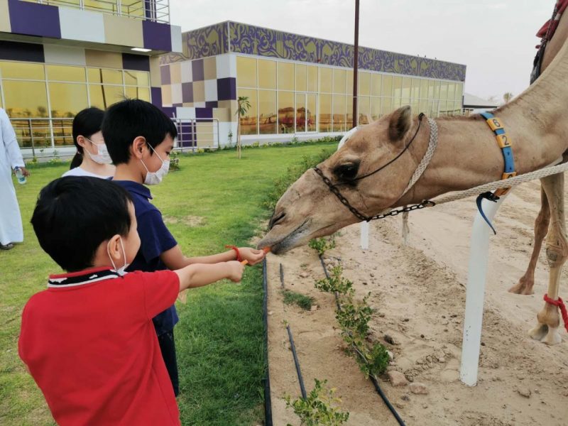 Camel Racing Dubai