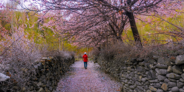 Skardu