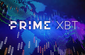 Mastering the Art of Trading on PrimeXBT 4