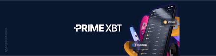 Unlocking the Potential of PrimeXBT Traders
