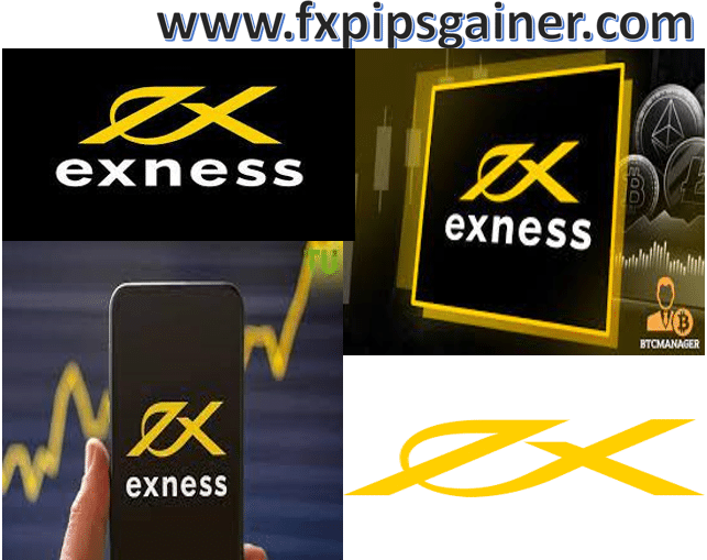 Unlocking Trading Skills with Exness Educational Resources